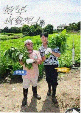我要看视频旅行综艺一路向北封面